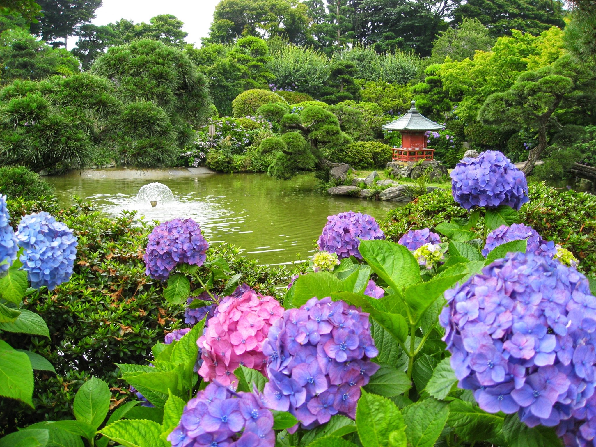 🌳 호와엔 정원(호와엔) 이미지 4